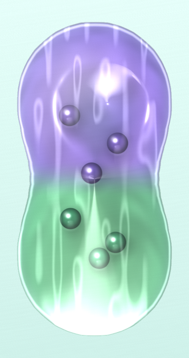 Les billes : une capsule violette et verte avec des billes brillantes à ranger